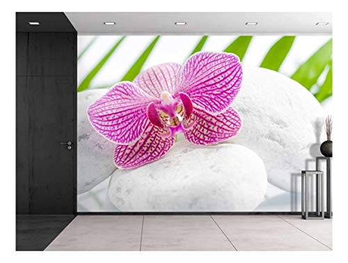Pink Orchid Over Rocks