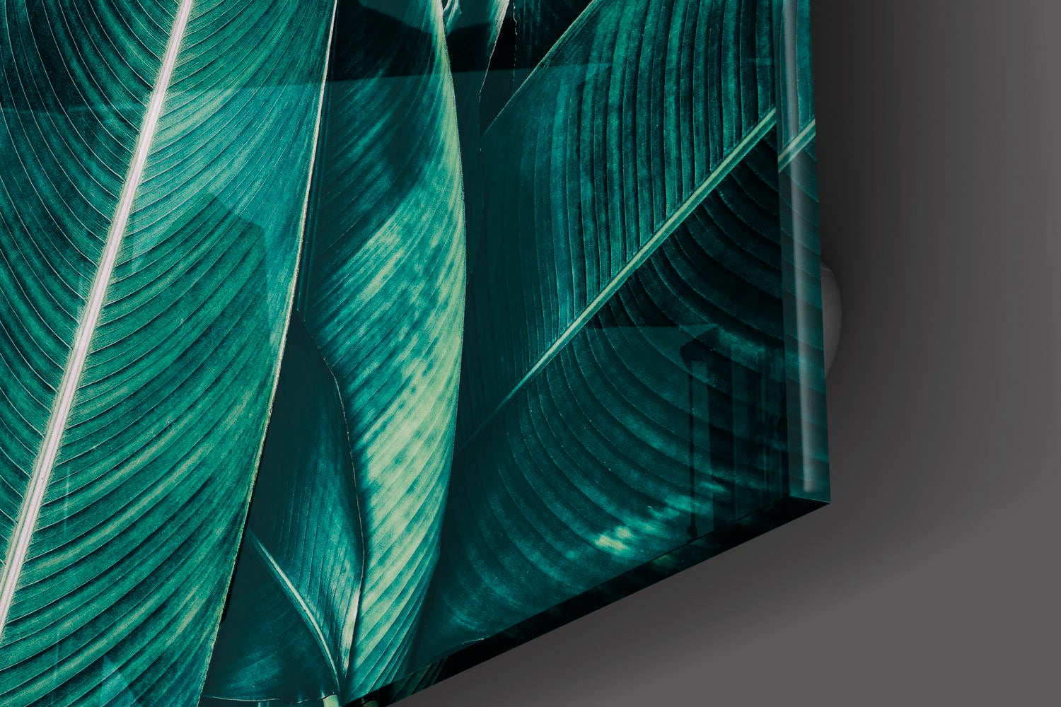 Leaves II Glass Print Wall Art - Modern Botanical Decor for Living Room, Bedroom & Office - Perfect for Home & Office Decor