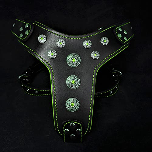 Black & Green