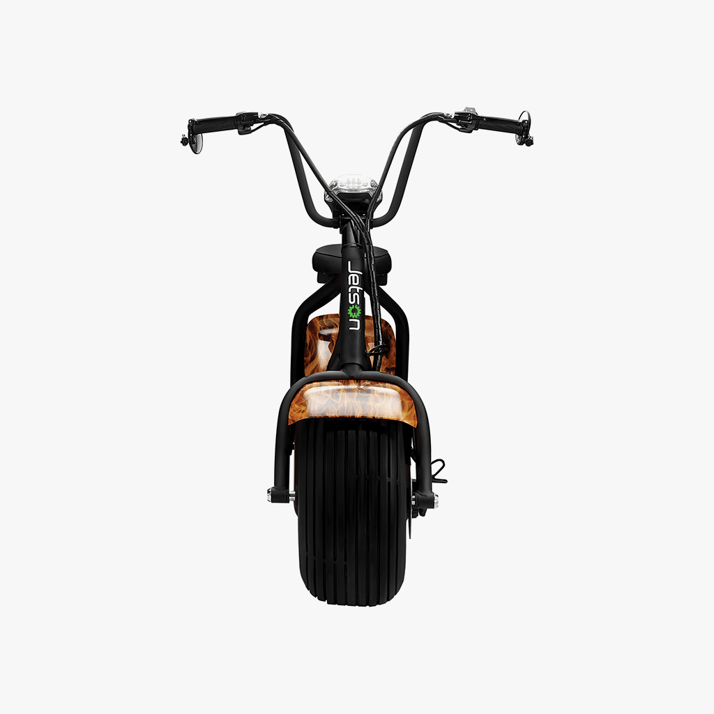 Fatboy Electric Bike for Adults - 750W Motor, 20