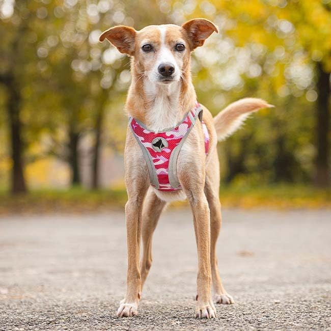 Croci Reflective Hiking Harness for Dogs - Medium Size, Red Safety Vest with High Visibility for Night Walking, Camping & Outdoor Adventures