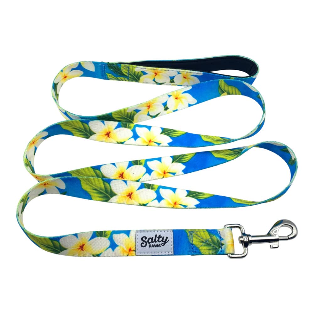 Salty Paws Floral Print Dog Leash - Heavy Duty Padded Handle for Small, Medium & Large Dogs (6ft Large Size for 50-90 lbs Dogs, Blue Plumeria) - Perfect for Walks, Training & Outdoor Adventures