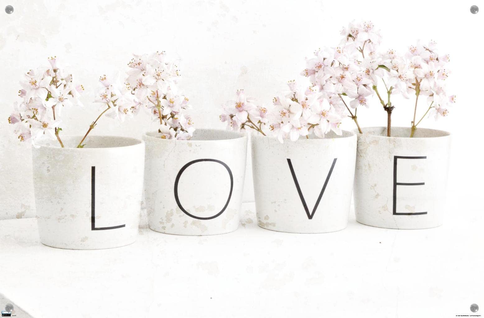 Trends International Tom Quartermaine Love Blossom in Cups Wall Poster - 24x36 Inch Framed Art Print with Push Pins - Perfect for Home Decor, Office & Dorm Room Aesthetic