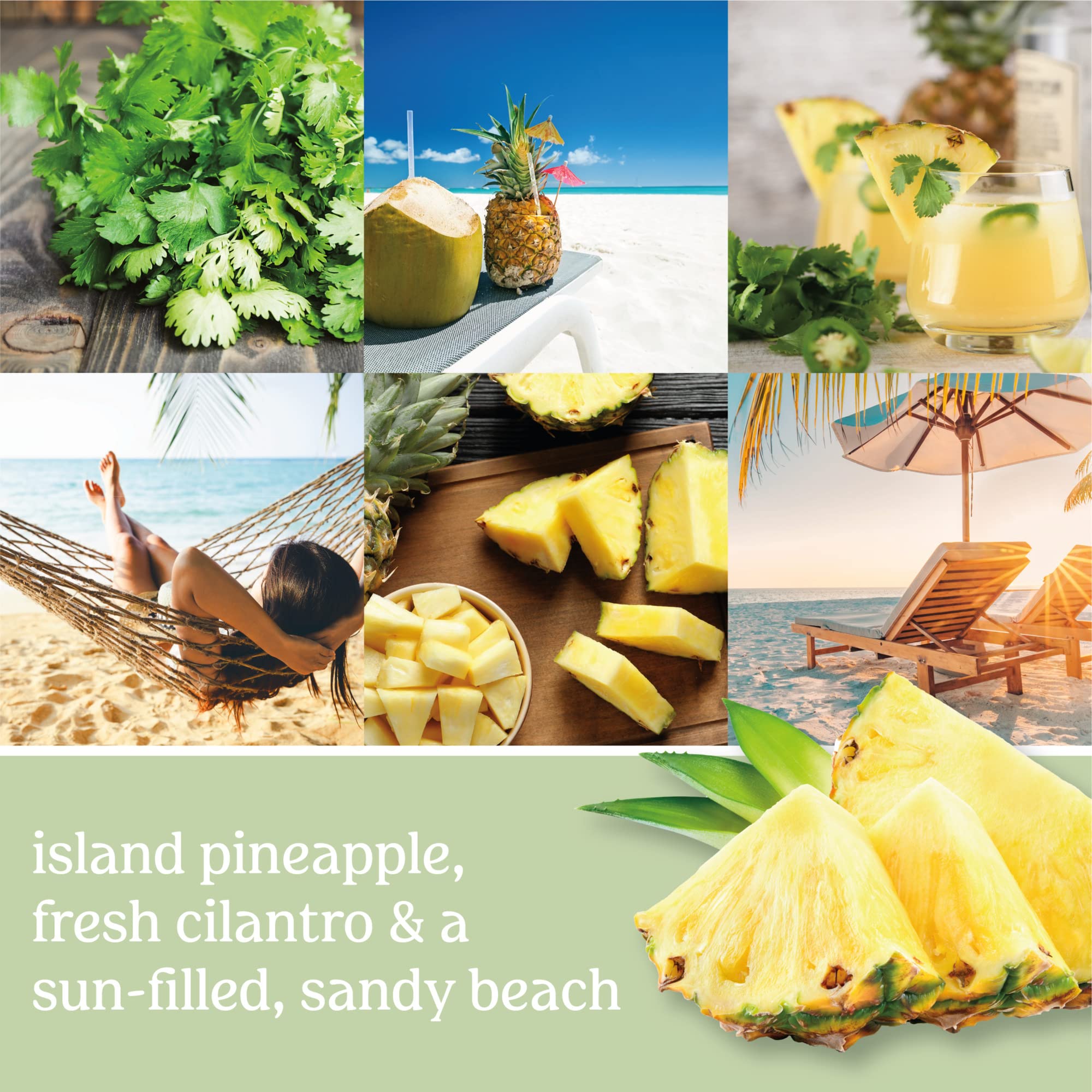 Pineapple Cilantro Scented Yankee Candle - 22oz Large Jar Single Wick Candle with 110+ Hours Burn Time | Home Decor, Aromatherapy & Gift for Holidays