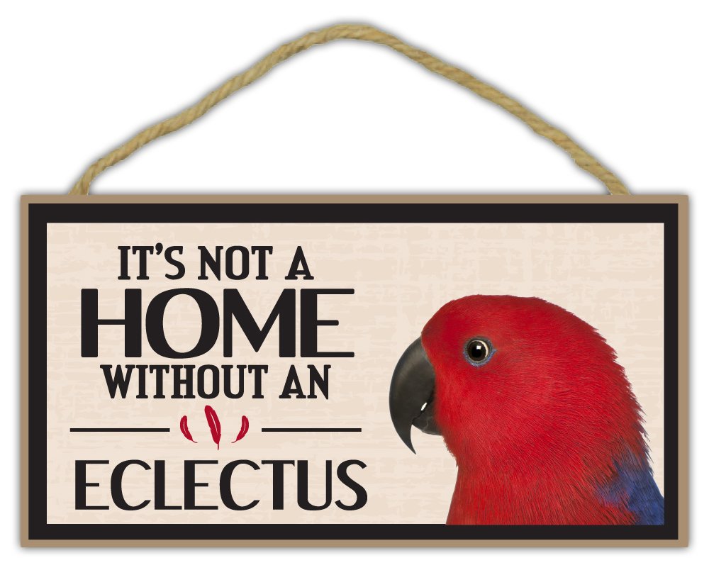 Handcrafted Wooden Eclectus Parrot Wall Sign - Unique Home Decor for Bird Lovers - Perfect Housewarming Gift & Living Room Decoration - Ideal for Tropical & Boho Style Interiors