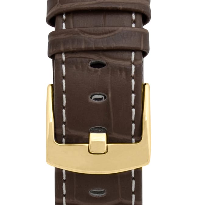 2 - Brown and White / Gold Buckle