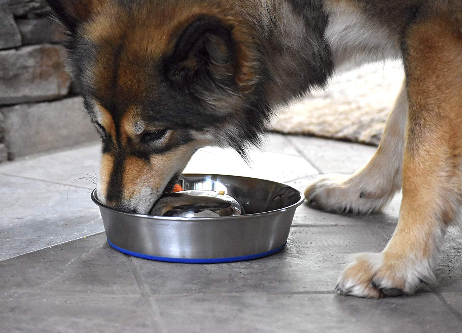 DuraPet Slow Feed Stainless Steel Dog Bowl for Small & Large Dogs - Anti-Gulping Pet Food Bowl for Fast Eaters - Silver (2040010301) - Perfect for Mealtime Portion Control & Digestive Health