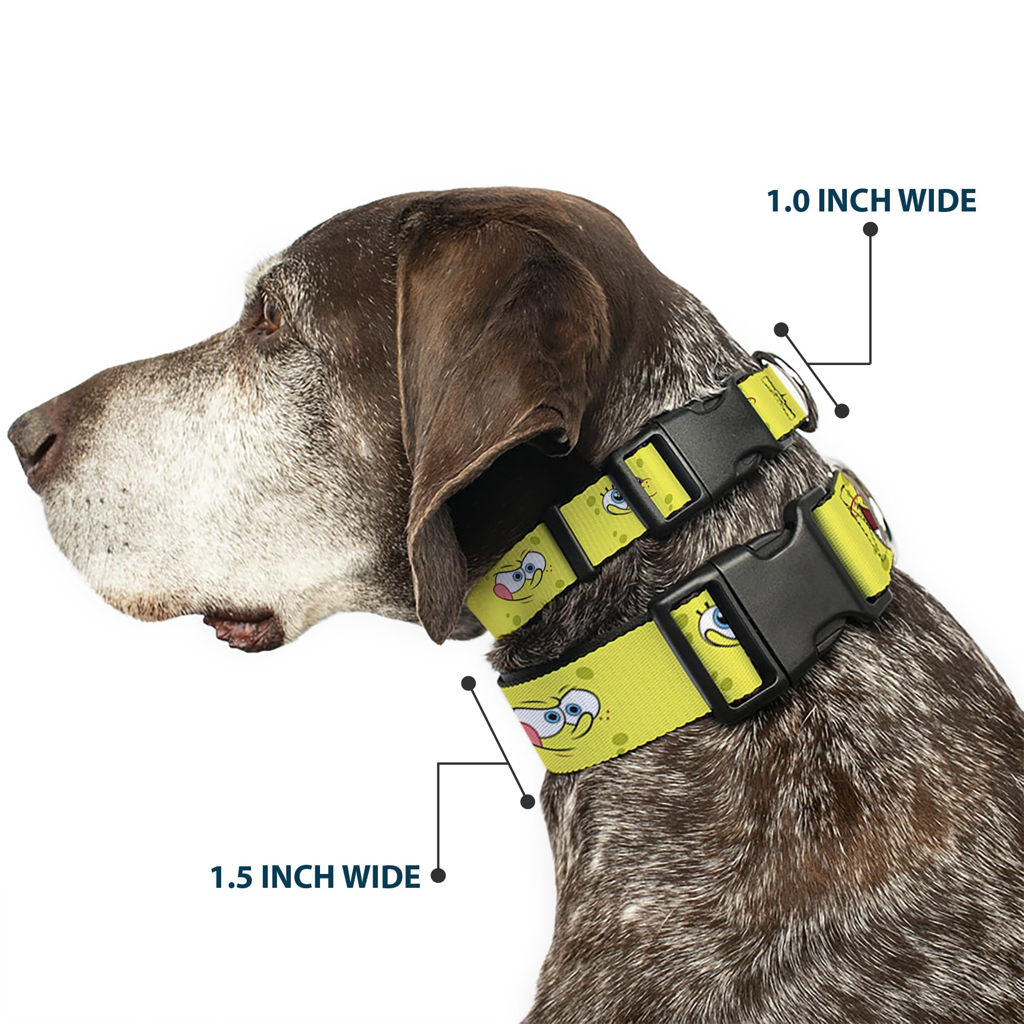 Buckle-Down Spongebob Expressions Dog Collar - 1.0 Inch Wide Adjustable (11-17 Inches) - Durable Plastic Clip for Small to Medium Dogs - Perfect for Daily Walks, Training & Cosplay