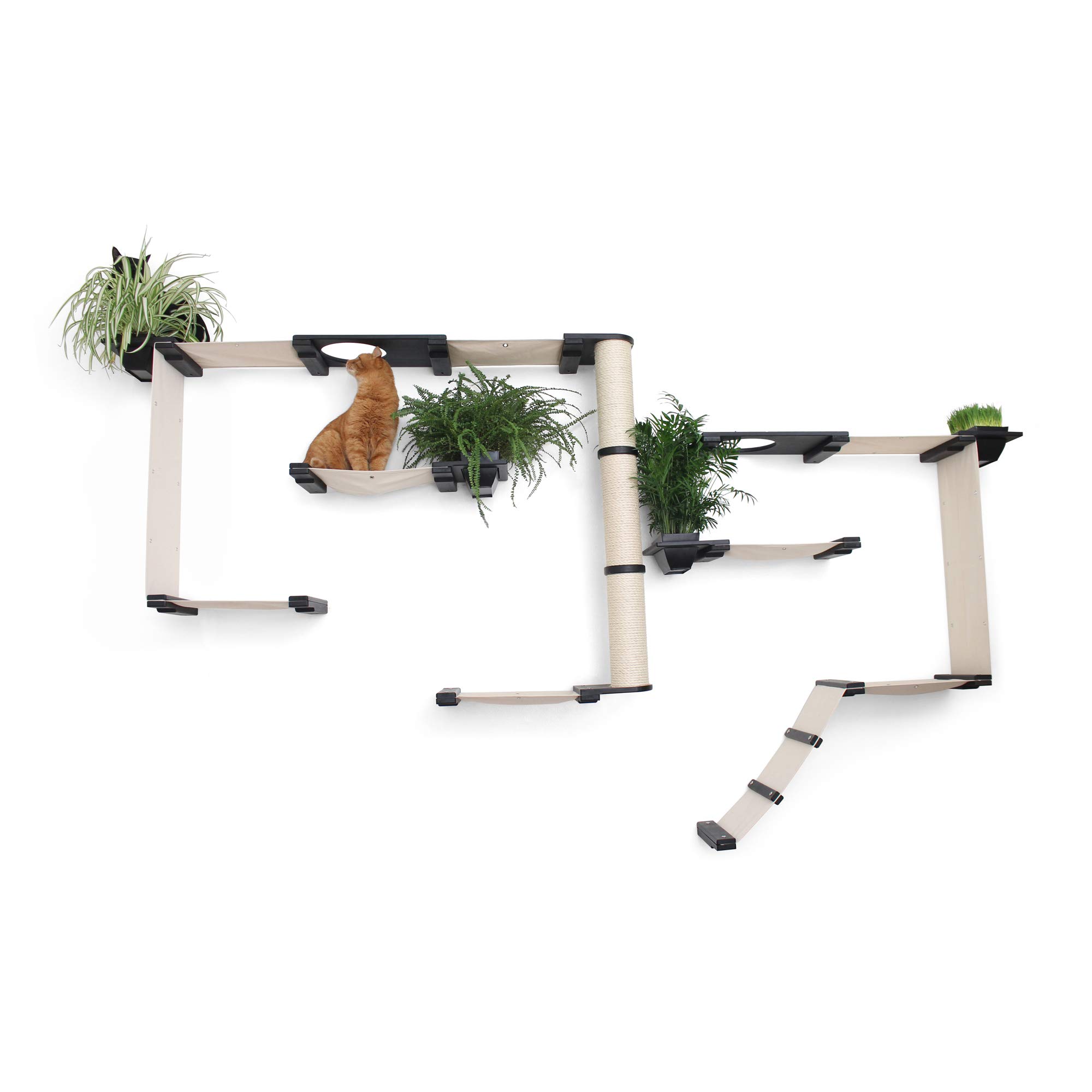 Multi-Level Wall Mounted Cat Climbing Furniture Set - Scratch Post, Hammock Lounge & Play Shelves for Indoor Cats | Space-Saving Cat Activity Center for Small Apartments & Pet-Friendly Homes