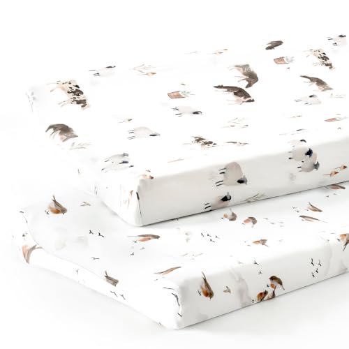 Cows and Birds