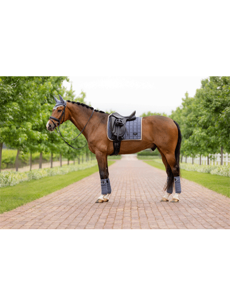 Premium Loire Dressage Saddle Square by LeMieux - Comfortable & Durable Equestrian Saddle for Dressage Training & Competition - Perfect for Professional Riders & Horse Shows