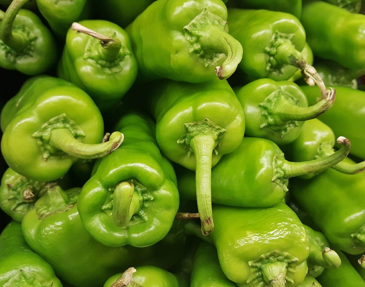 Anaheim Pepper Seeds - 50 Count Pack | Non-GMO, Heirloom Variety | COOL BEANS N SPROUTS Brand | Perfect for Home Gardening, Container Planting & Salsa Making