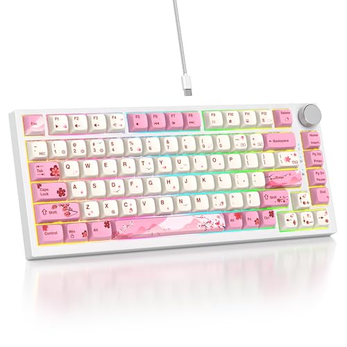 Ying /Red Switch