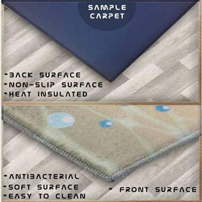 Scandinavian 3D Print Non-Slip Microfiber Kids Rug - Gray Floor Brown Lions Zoo Animals Design for Children's Room Decor & Play Area Mat | Perfect for Nursery, Playroom & Bedroom