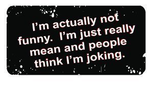 Funny Hard Hat Stickers - Sarcastic & Mean Humor for Construction Workers | Perfect for Helmets, Safety Gear & Job Sites
