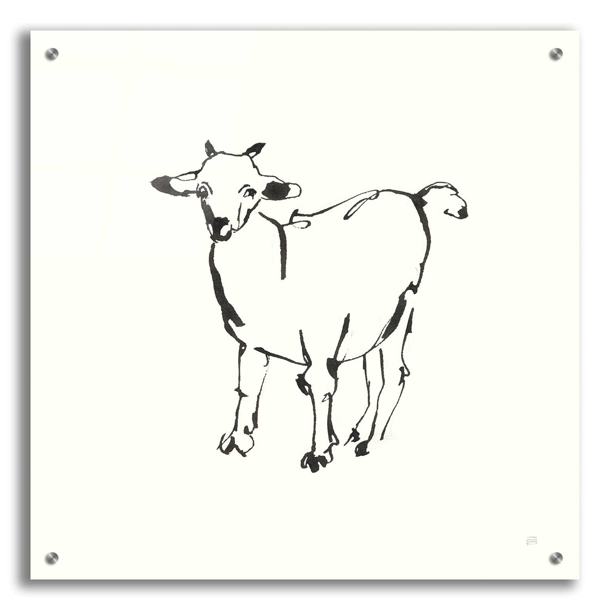 Line Goat by Chris Paschke - 24x24 Inch Modern Acrylic Glass Wall Art - Contemporary Abstract Painting for Living Room, Bedroom & Office Decor