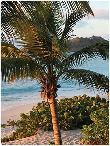 Sunset Palms I