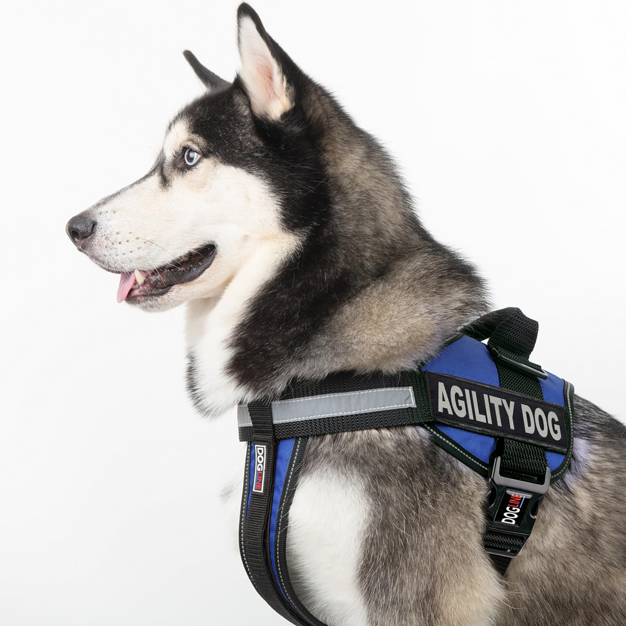 Dogline Unimax Multi-Purpose Dog Vest Harness with 2 Removable Agility Patches - Small Size, Blue | Perfect for Training, Hiking & Outdoor Activities