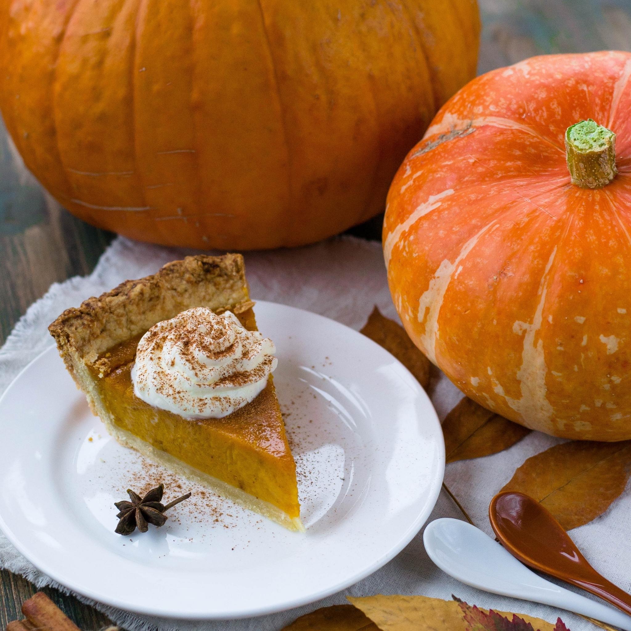 Pumpkin Delight Fragrance Oil - 100% Pure Essential Oil for Candles, Soaps & Diffusers | Fall Home Scent, Thanksgiving & Halloween Decor