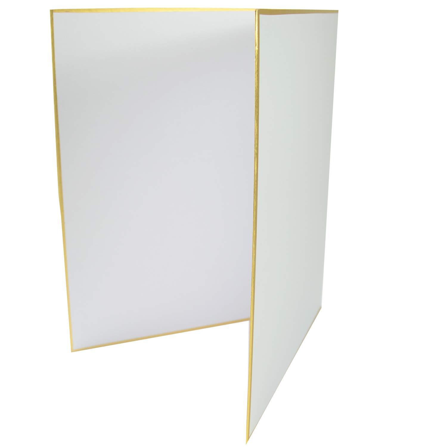 GRAPH'IT Shikishi Board 272 x 484 mm – Premium Double Sided Drawing Board for Artists | Ideal for Anime, Manga & Portrait Sketching | Large Art Display Surface