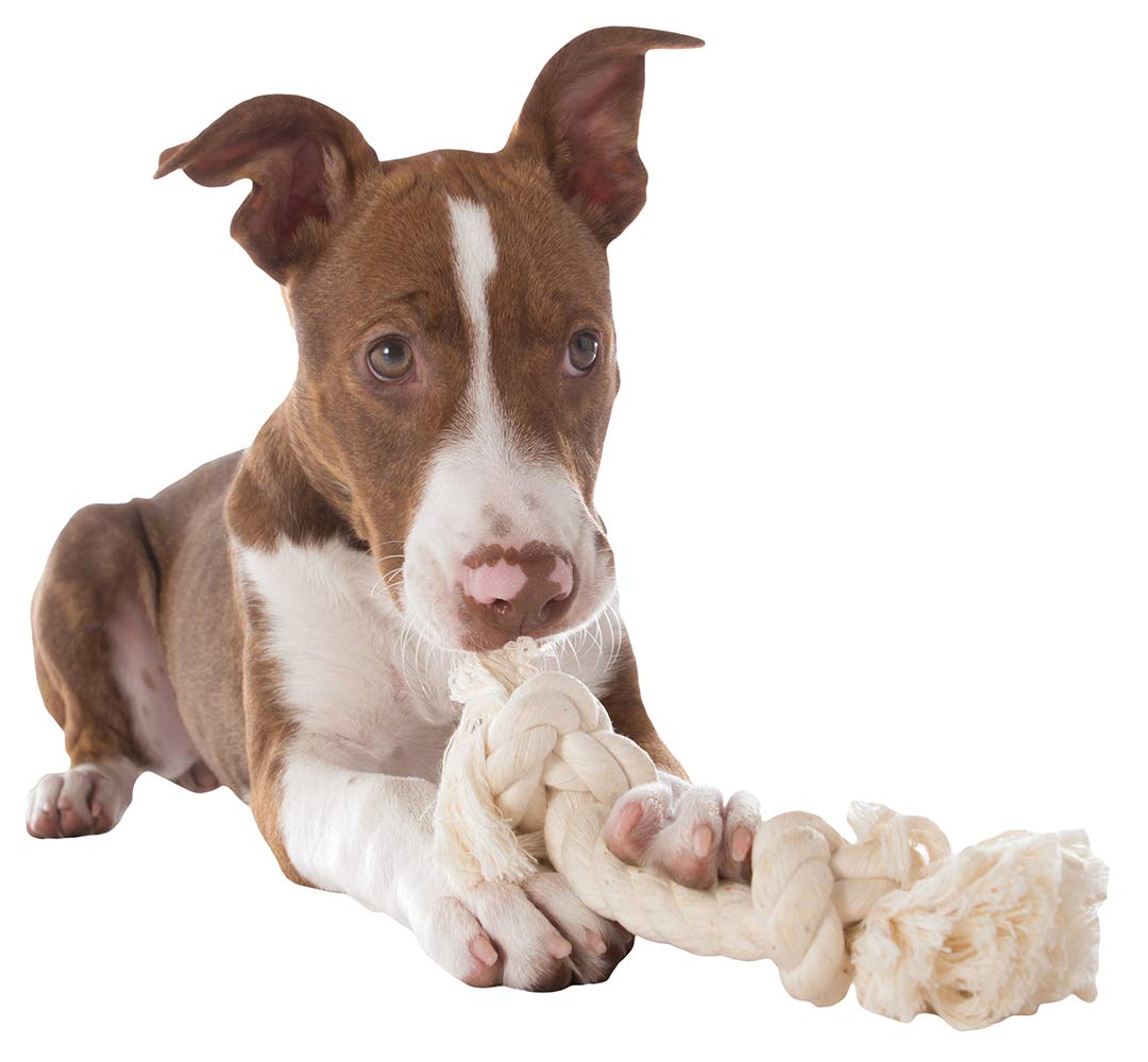**Mammoth Flossy Chews 100% Natural Cotton Rope Dog Toys - Premium White Knot Dog Rope Toy for Small Dogs - Interactive Tug & Chew Toy for Puppies & Small Breeds (9