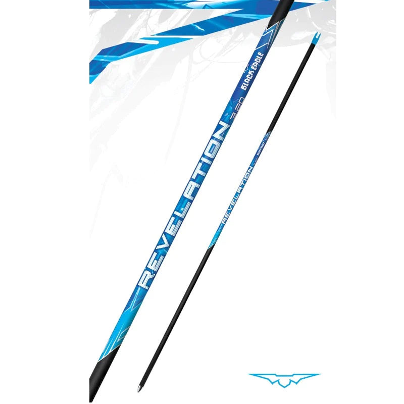 Black Eagle Revelation Arrows - 12 Pack with Stainless Steel Points & Pin Nock for Hunting and Target Practice | High-Performance Carbon Arrows for Compound & Recurve Bows