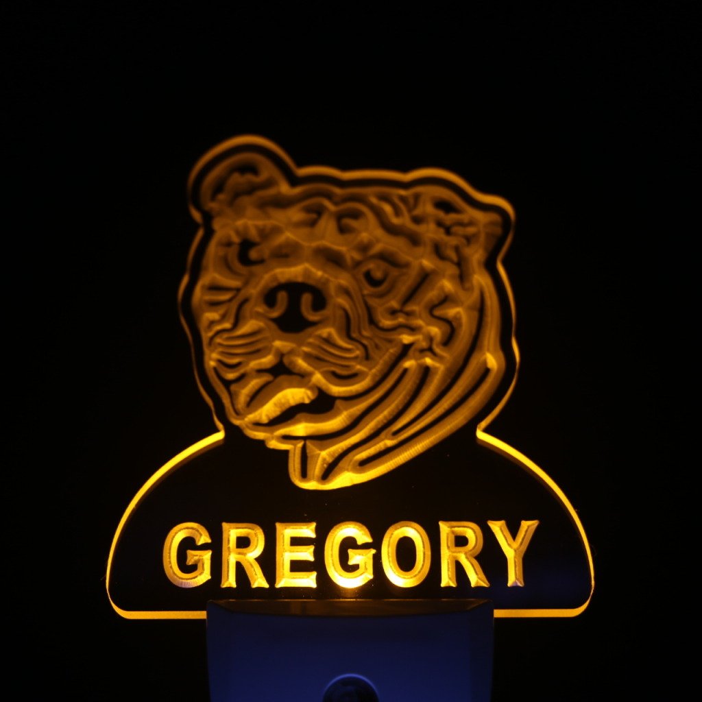 ADVPRO ws1059-tm Personalized Bulldog Night Light with Name - LED Night Light with Day/Night Sensor for Kids Room, Nursery, Bedroom Decor - Perfect Gift for Dog Lovers
