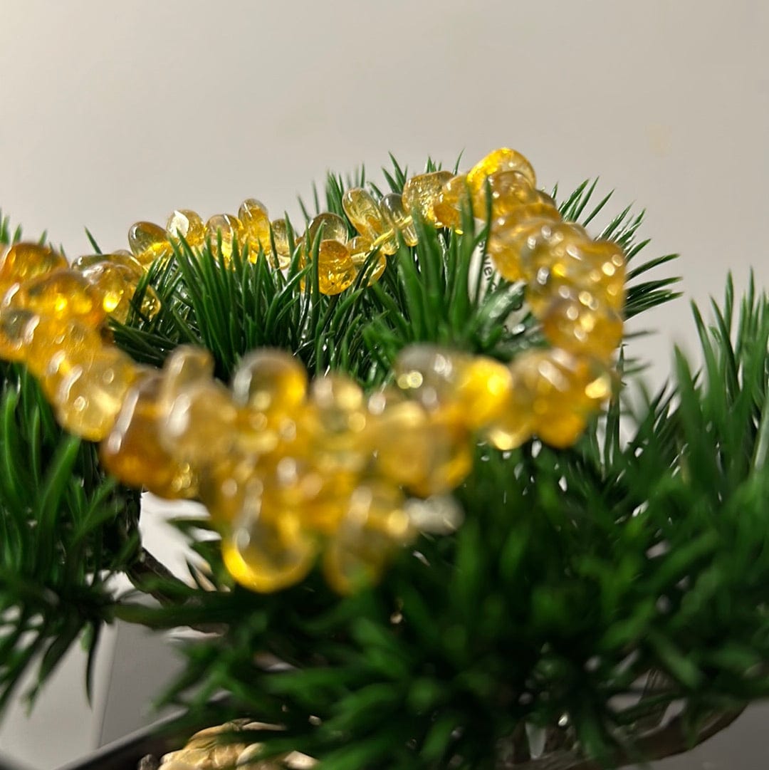 Natural Citrine Bead Strand for Jewelry Making - 6mm Round Gemstone Beads for Necklace, Bracelet & DIY Craft Projects - Healing Crystal for Positive Energy & Abundance