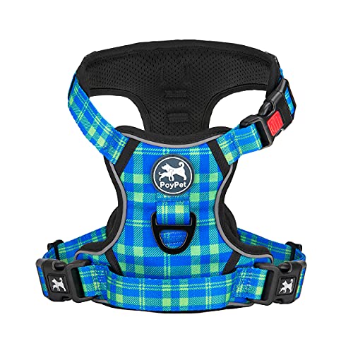 Checkered Blue & Green
