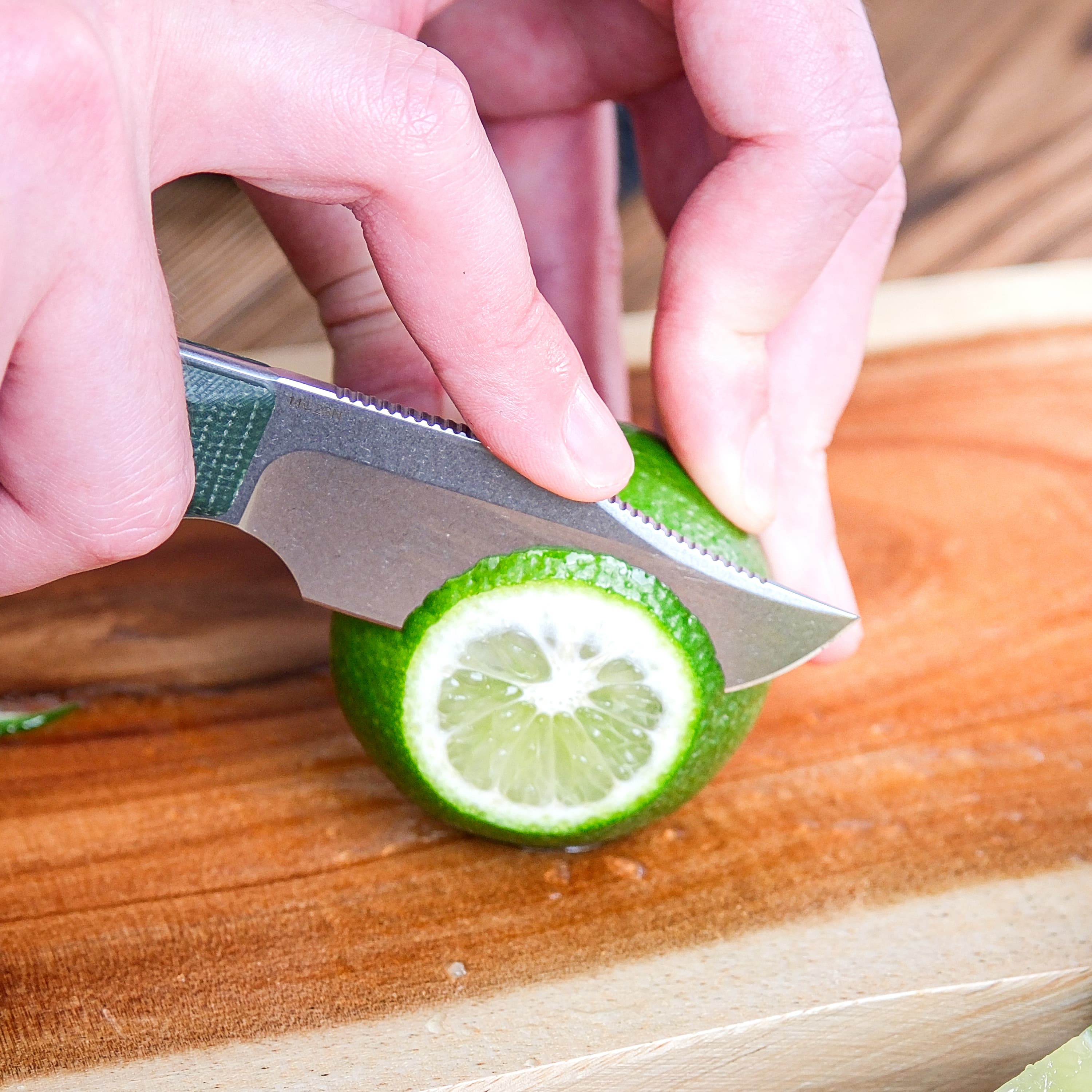 Quokka Fixed Blade Knife - 2.72
