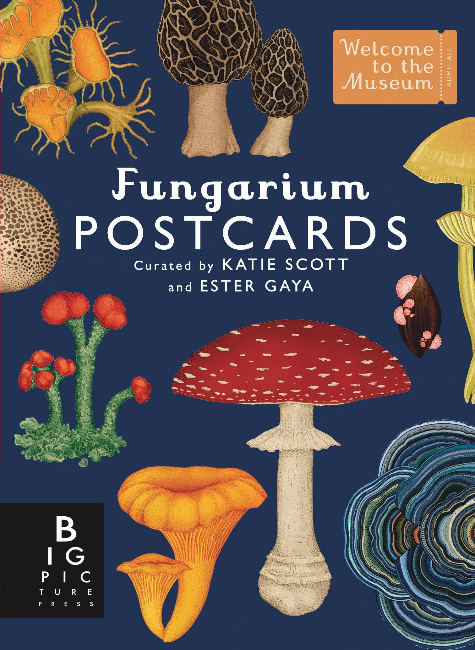 Fungarium Postcard Box Set - Welcome to the Museum | Botanical Fungi Art Collection | Perfect for Home Decor, Gifts & Stationery Lovers