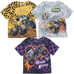 Yellow / Grey / Purple