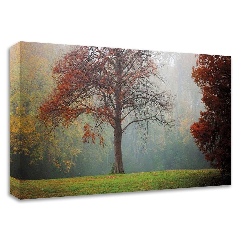 Katya Horner 'A Late Autumn Morning' Canvas Wall Art Print - Ready to Hang - Perfect for Living Room, Bedroom & Office Decor