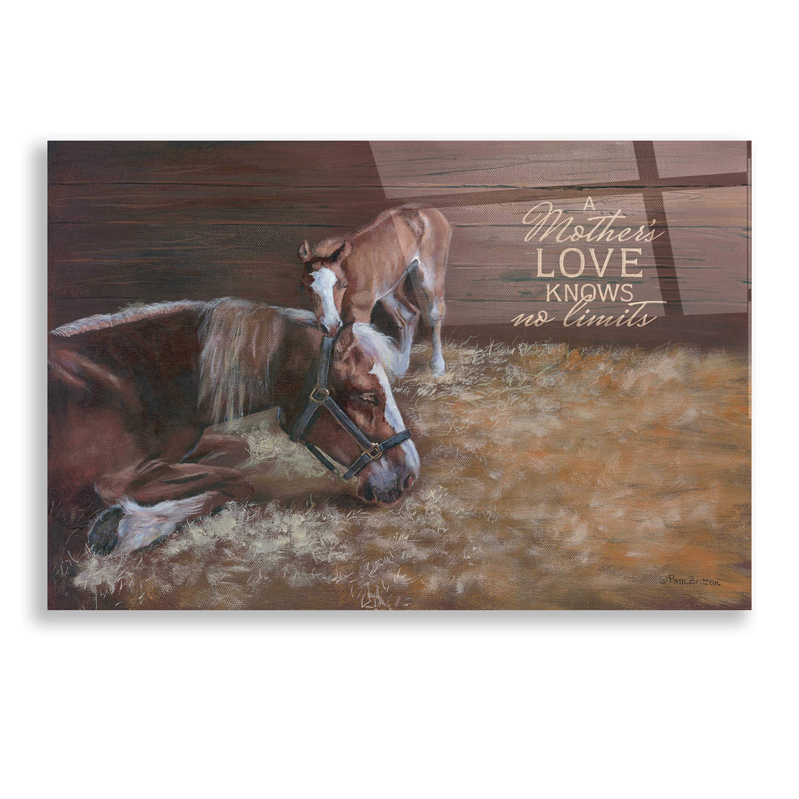 Pam Britton 'A Mother's Love' Acrylic Glass Wall Art - 24x16 Inches Modern Home Decor, Perfect for Living Room, Bedroom & Office
