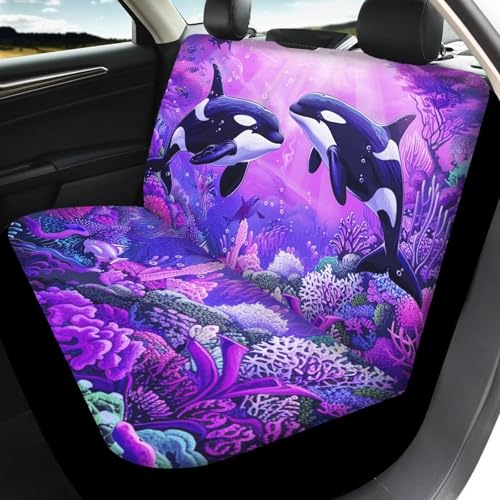 Trendy Killer Whale
