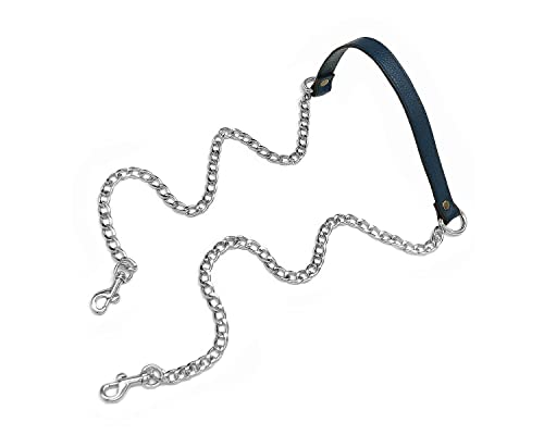 Blue-silver Buckles