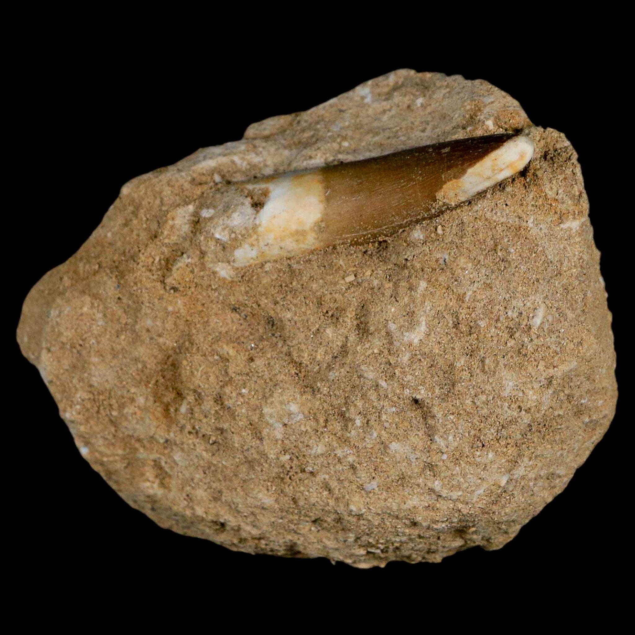 1.8