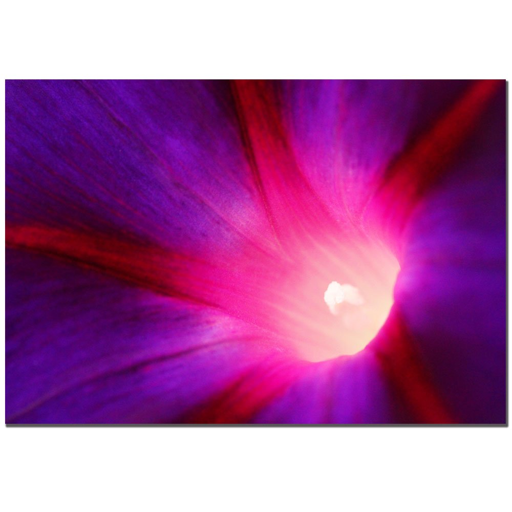 Trademark Fine Art Love Beauty Canvas Wall Art by CATeyes - Perfect for Living Room, Bedroom & Home Decor