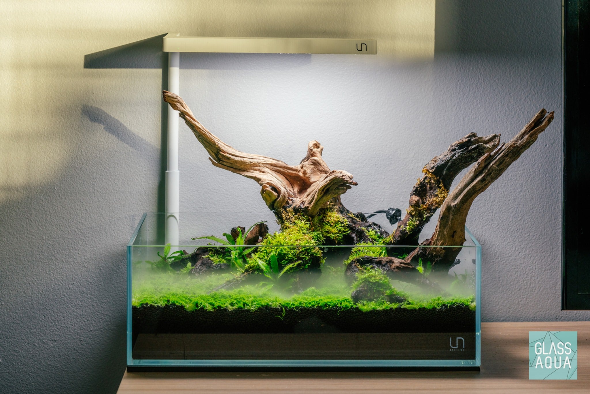 Premium UNS Rimless Shallow Glass Aquarium Tank - 5 Gallon Nano Fish Tank for Betta, Shrimp & Plants | Perfect for Desktop, Office & Home Decor