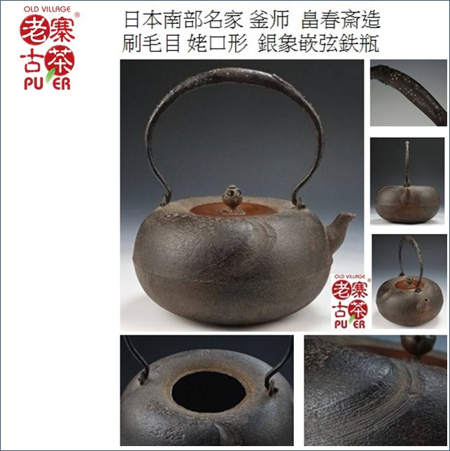 Premium Japanese Nanbu Tetsubin Cast Iron Teapot - Hata Shunsai Brush Stroke Design with Spout - Authentic Japanese Iron Kettle for Tea Ceremony, Home Brewing & Gift Giving