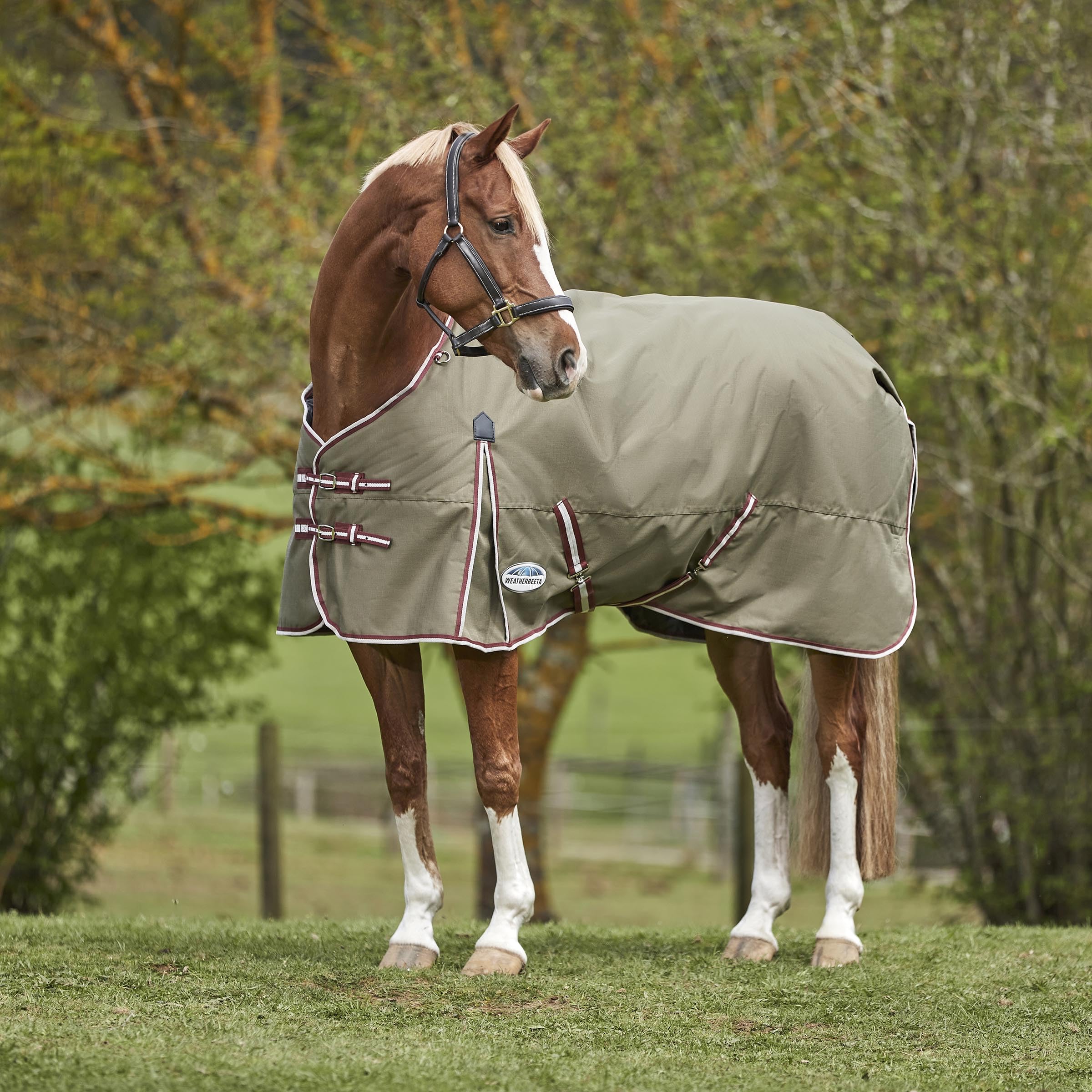 WeatherBeeta ComFiTec Essential Standard Neck Heavy Turnout Blanket - Olive Green/Burgundy/White - 72 Inch - Waterproof & Breathable Horse Blanket for Winter & Cold Weather Riding