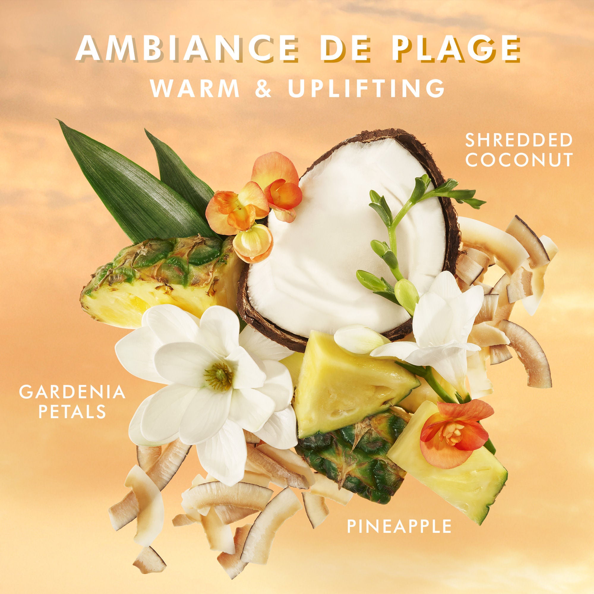Ambiance de Plage Hand Cream - Moisturizing & Nourishing for Dry Skin - Perfect for Travel, Office & Home Use