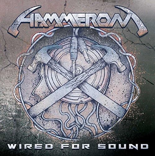 Premium Wired Headphones for Music & Gaming - Noise Isolating Stereo Sound with Mic - Perfect for Commuting, Workouts & Online Meetings