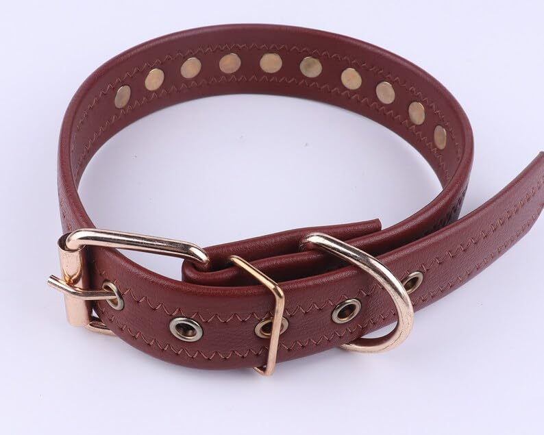 KittuPet Spiked Studded Leather Dog Collar with Mushroom Rivets - Adjustable Small Medium Pet Collar for Dogs & Cats - Durable Brown Leather Puppy & Kitty Collar - Perfect for Daily Walks, Training & Fashion Accessories