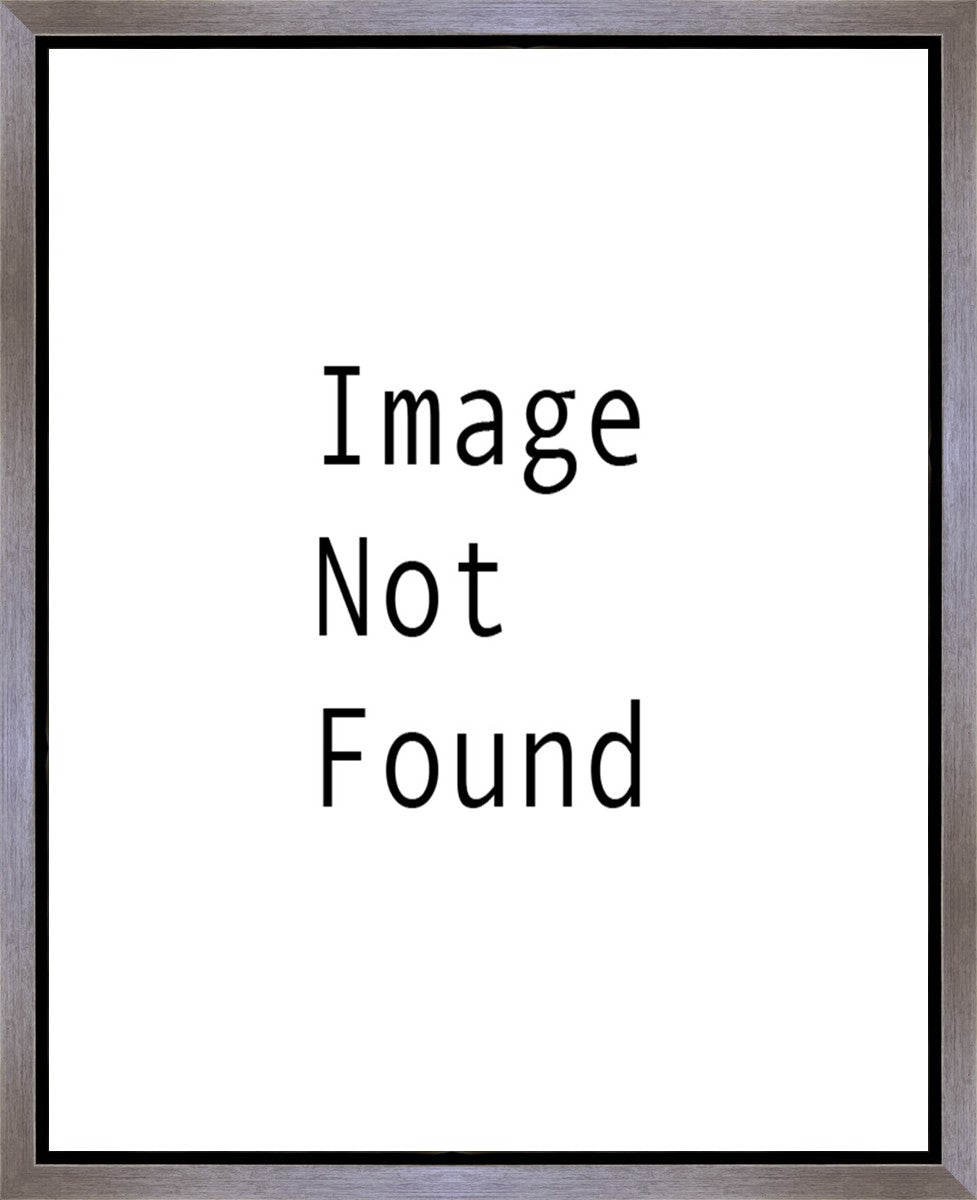 I Shall Not Want Gallery Wrap Canvas - Inspirational Christian Wall Art for Home, Office & Church Decor - Perfect for Living Room, Bedroom & Prayer Space