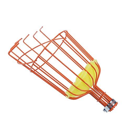 Stainless Steel Fruit Picker Tool with Basket - Extendable Harvesting Pole for Apples, Pears & Citrus Fruits | Perfect for Home Gardeners & Orchard Workers