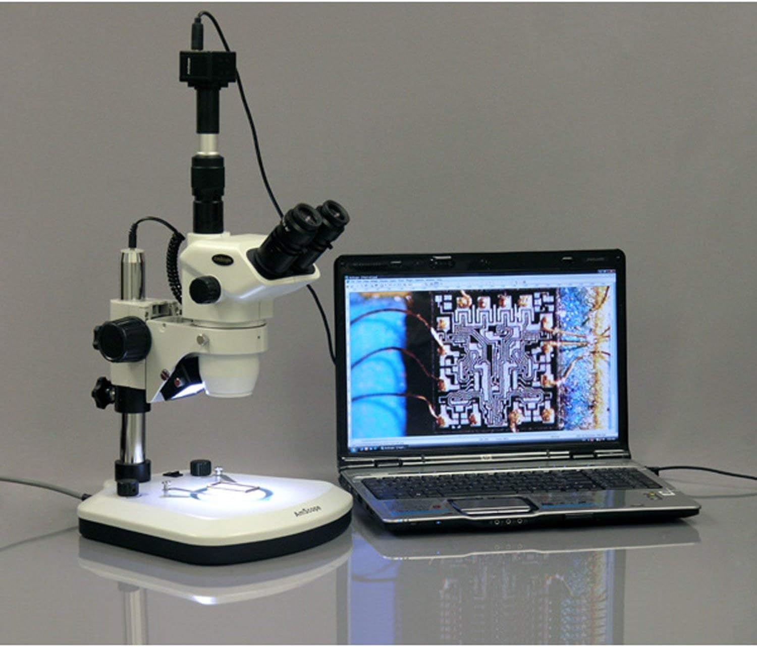 AmScope TS130-LED Professional LED Illuminated Microscope with Adjustable Table Stand - Perfect for Lab Research, Classroom Education & Hobbyist Use