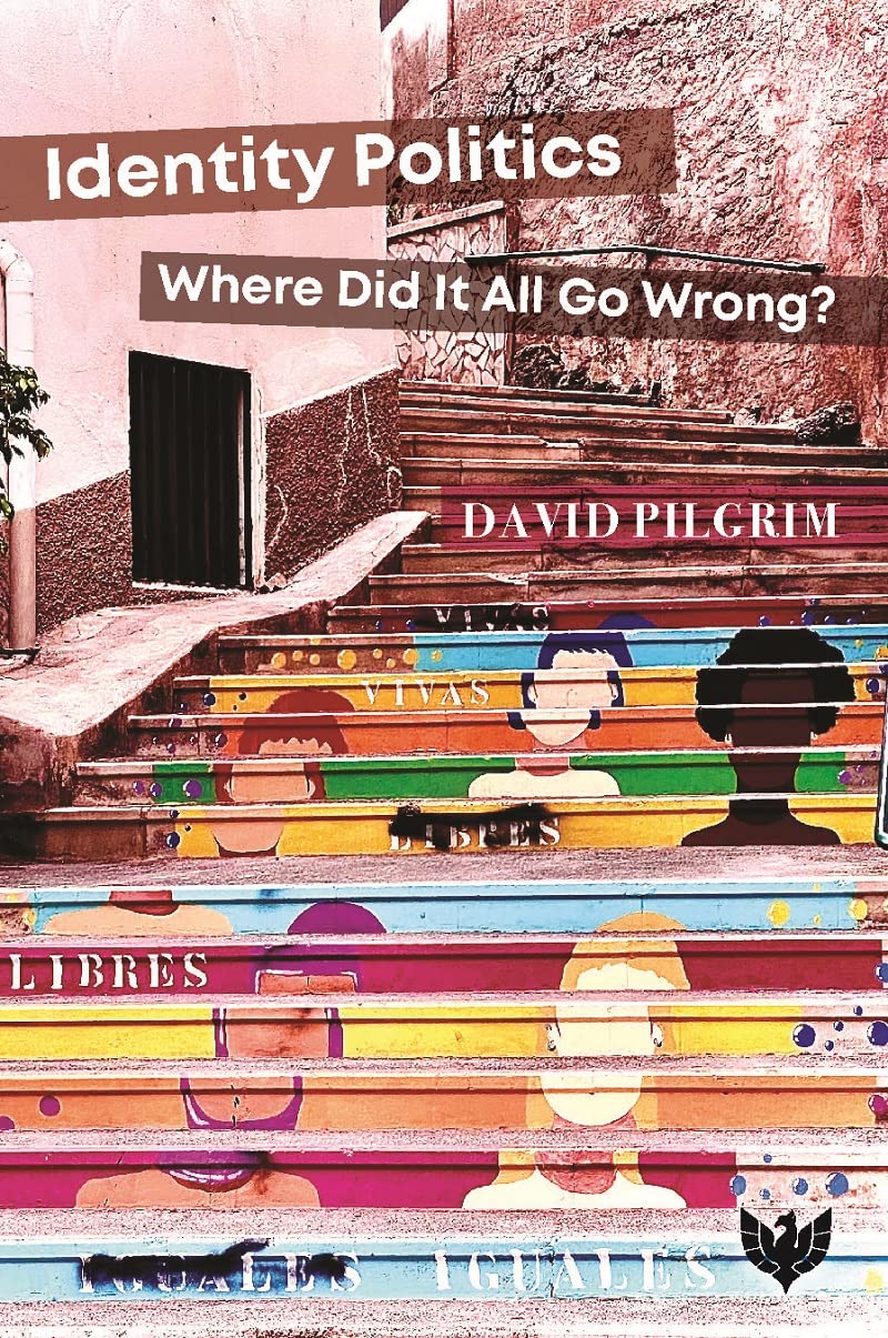 Identity Politics: Where Did It All Go Wrong? | Political Theory Book | Perfect for College Students & Political Science Enthusiasts