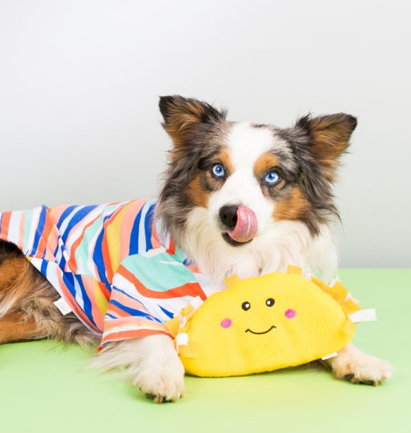 ZippyPaws NomNomz Plush Taco Dog Toy with Squeakers - Fun Interactive Chew Toy for Small & Medium Dogs - Perfect for Playtime, Training & Cuddling