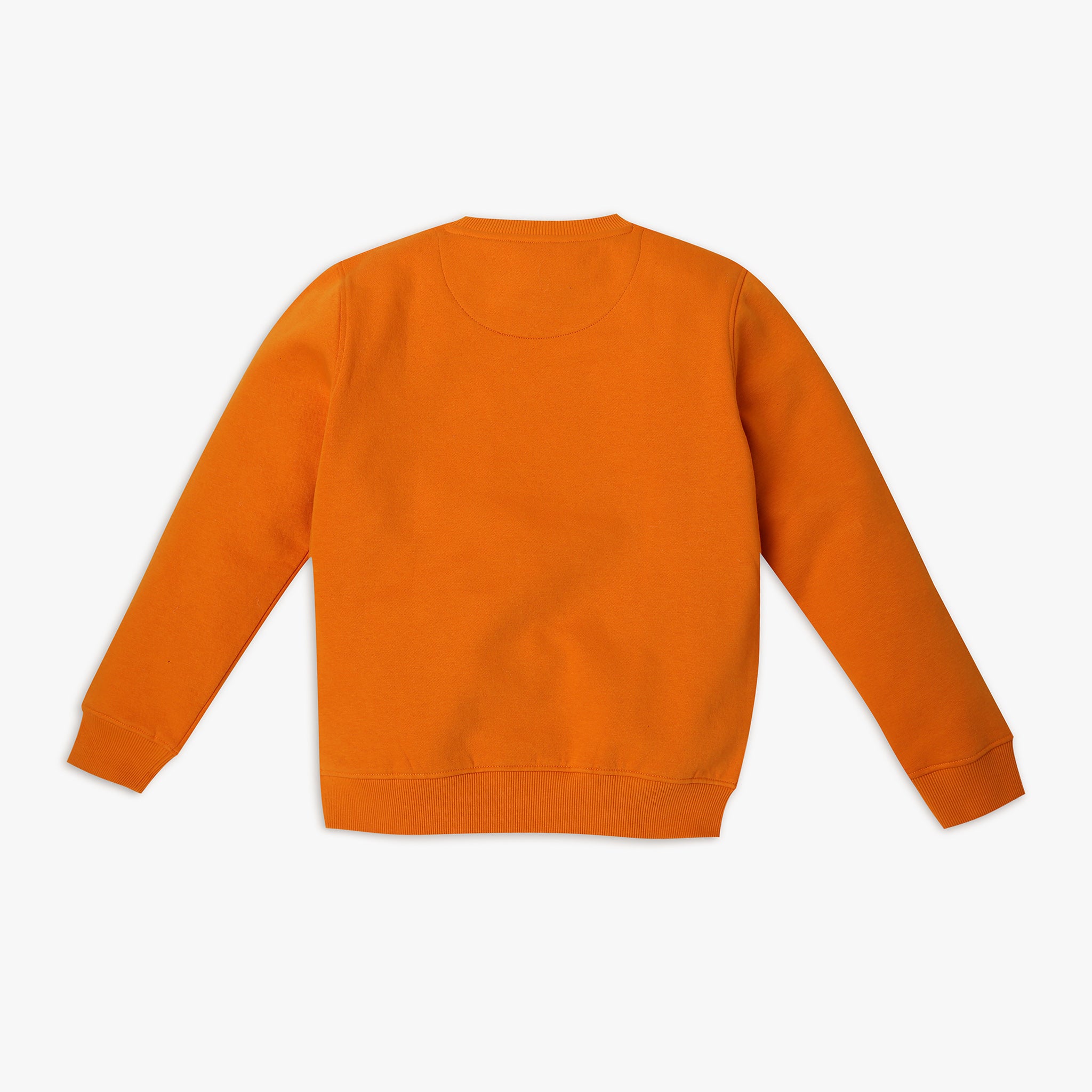 Girls' Regular Fit Solid Color Sweatshirt - Soft Cotton Pullover for Casual Wear, School & Playdates